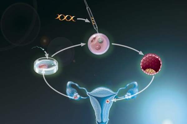 重庆试管移植胚胎数量越多越好吗？ 
